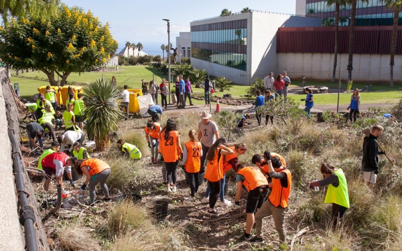 Limpieza en el barranco del campus de Guajara