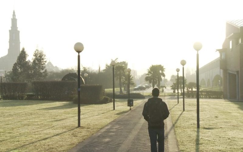 loscampus
