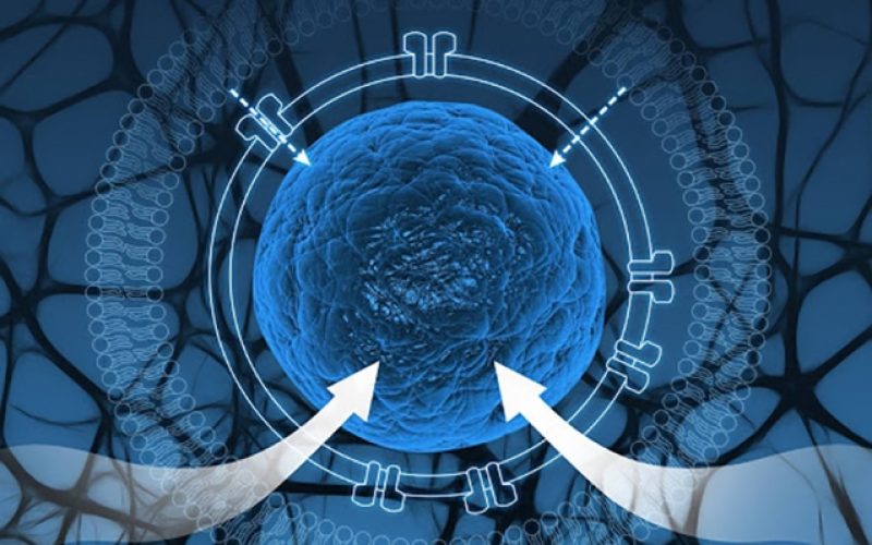 Más cerca de encontrar vida en otros planetas