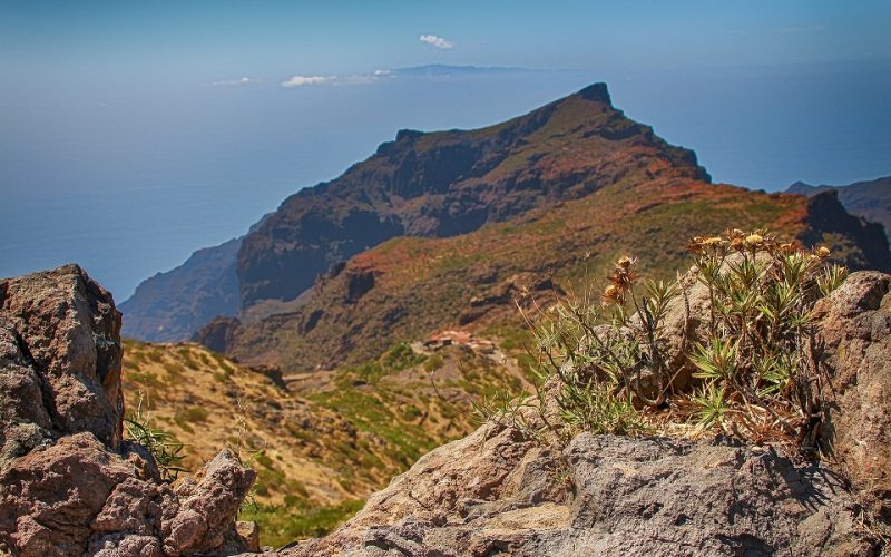 La ULL pone en marcha una estrategia contra la pérdida de biodiversidad en canarias