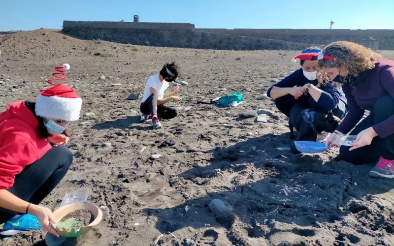 Voluntariado recogiendo microplásticos