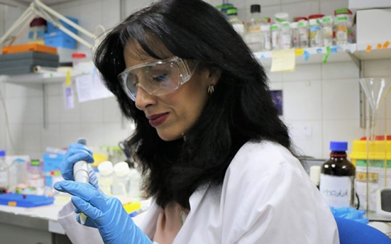 Noela Rodríguez