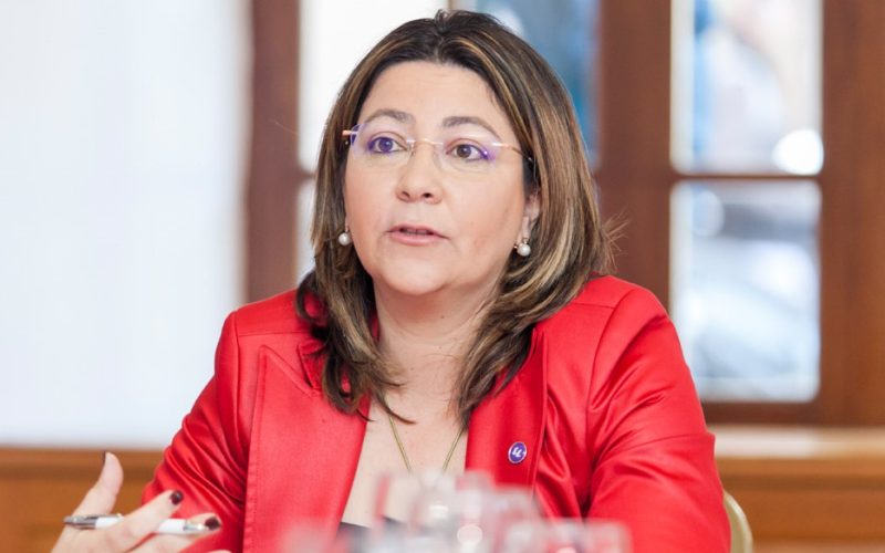 Norena Martín, vicerrectora de Infraestructuras y Servicios Universitarios de la ULL