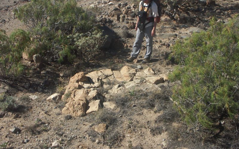 Primer Taller de Interpretación Geológica de la ULL