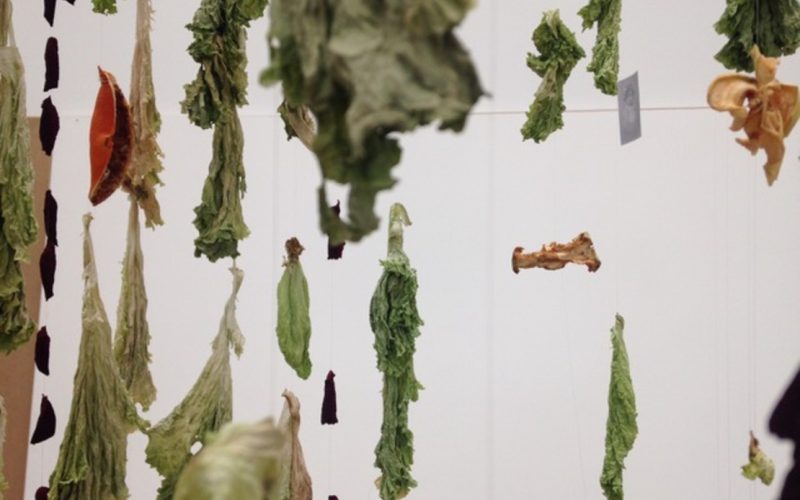 El Aula Cultural de Filosofía organiza un curso sobre las BioVanitas