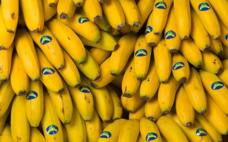 Plátano de Canarias