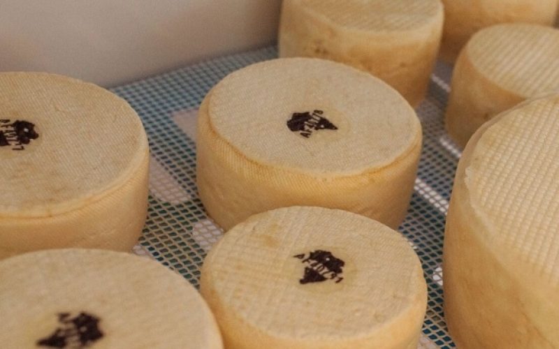 Queso de La Palma