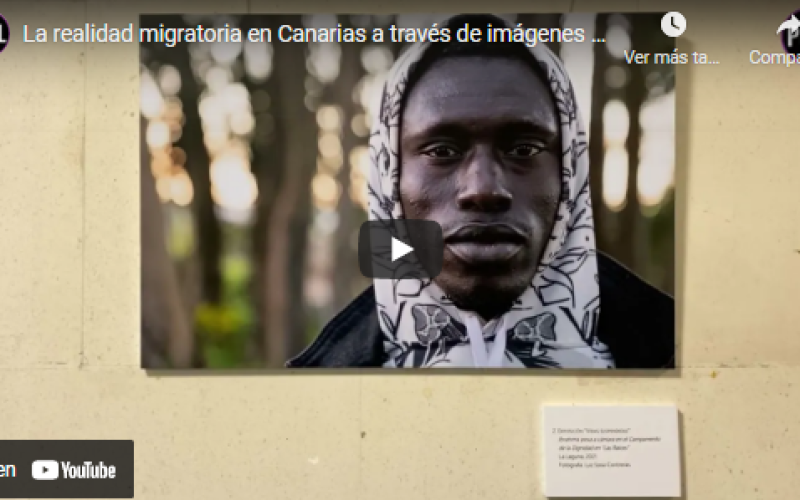 Realidad migratoria