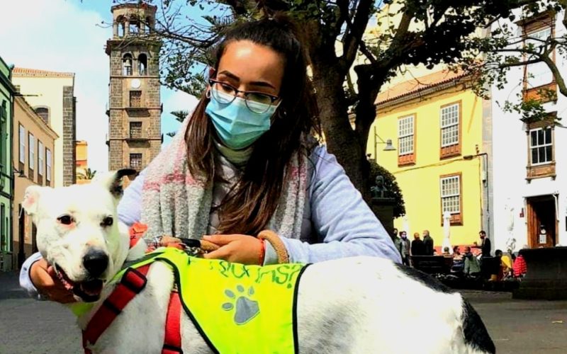 Voluntaria junto a un perro para buscar un hogar en La Laguna. Foto: PULL