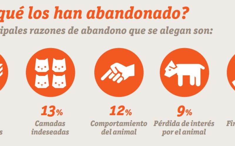 Abandono de animales