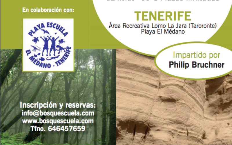 Taller de Iniciación en metodología Bosquescuela