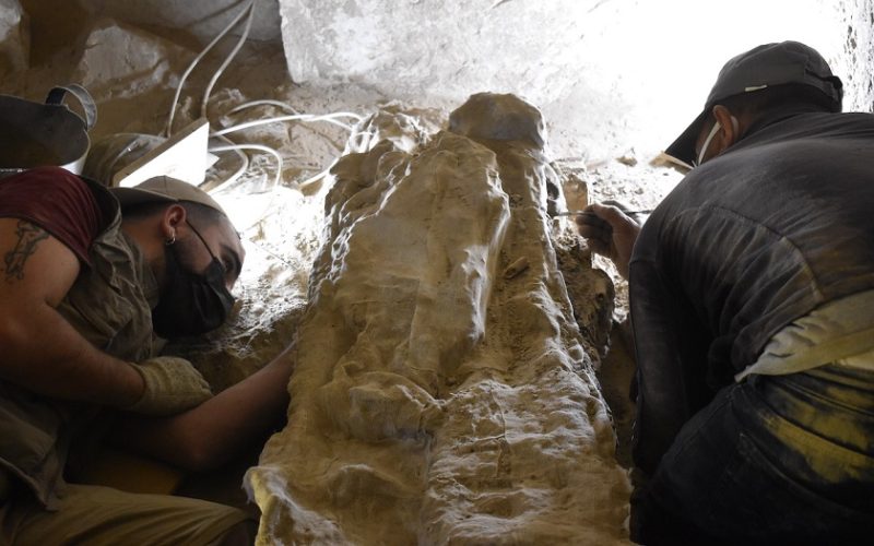 La ULL retoma su misión arqueológica en la Tumba Tebana 209 de Luxor