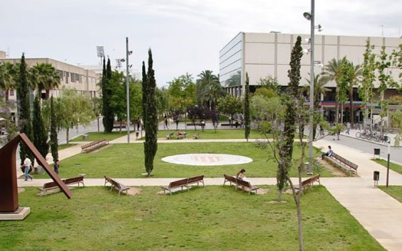 UPV