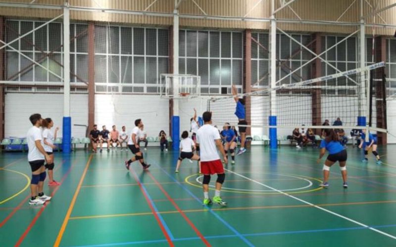 Trofeo Rectora de Voleibol
