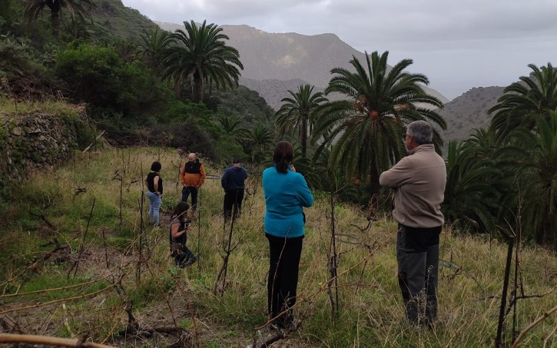 La Gomera acoge el primer taller de acercamiento a la tecnificación vitivinícola