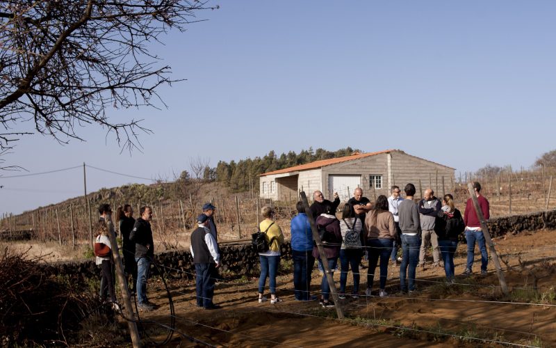 Estudiantes de la ULL visitan la denominación de origen Vinos de El Hierro