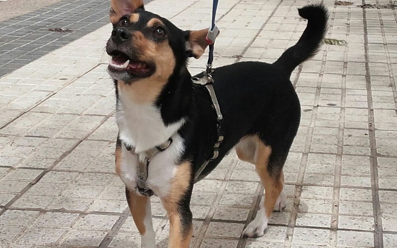 Álex en la calle