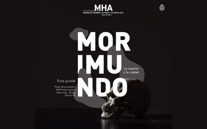 Los museos buscan alternativas para que no falte la cultura en esta nueva normalidad. Foto: PULL