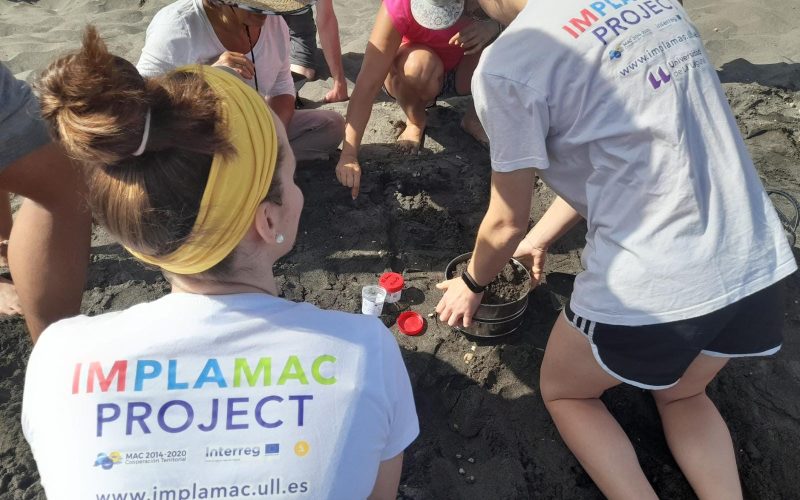 Proyecto Implamac