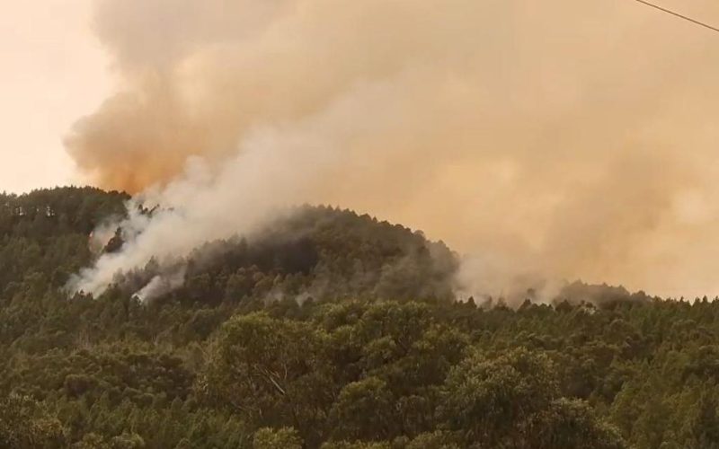 Incendio Tenerife