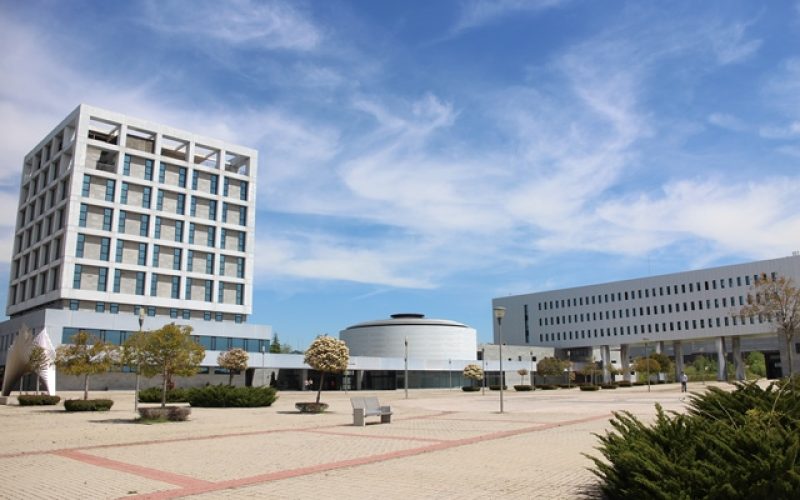 La Universidad Rey Juan Carlos apoya la igualdad y la lucha contra la violencia