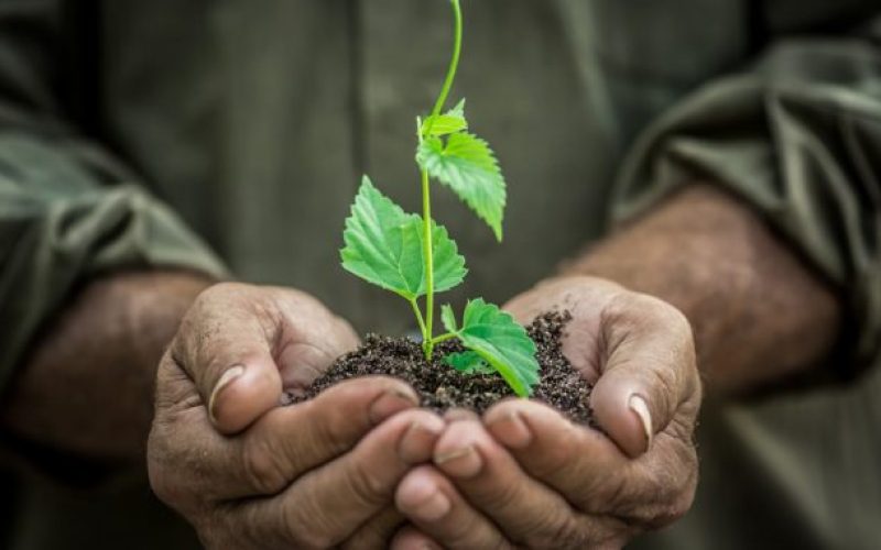 I Seminario Agroecología Antonio Bello