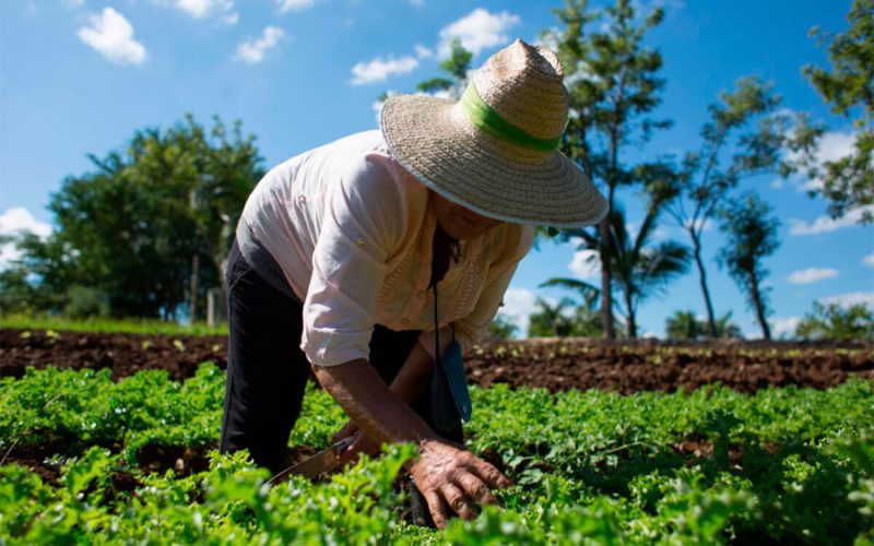 agroecologia