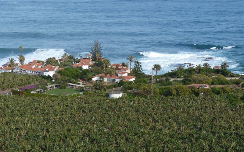 La Universidad de La Laguna elabora un análisis sobre el agroturismo en Canarias