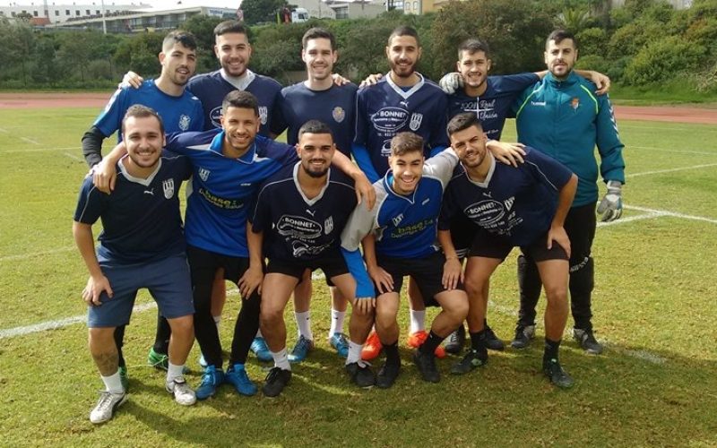 arbolito team