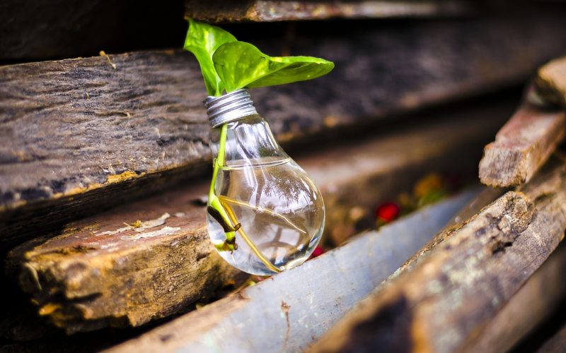 La ULL acoge la entrega de premios de la V Edición de 'Crea y Recicla'