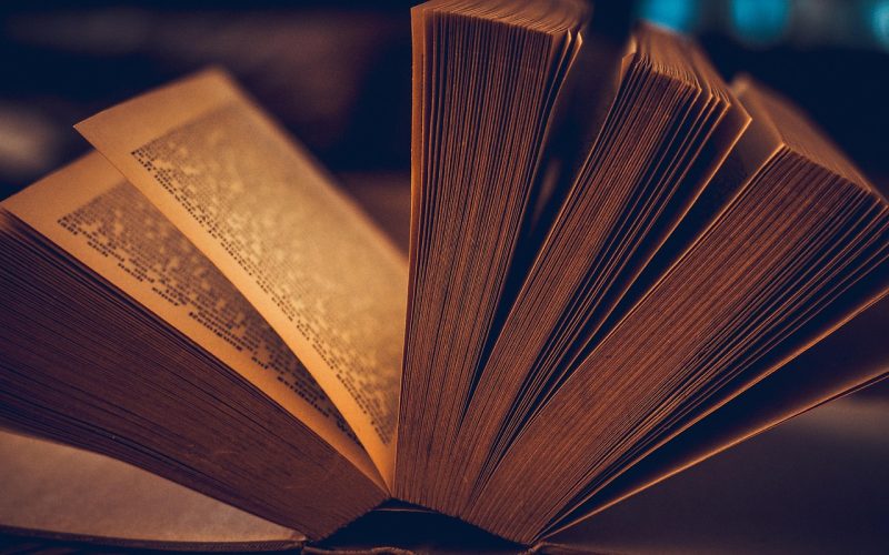 lectura