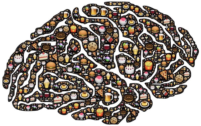 Conceptos básicos para ser conscientes de lo que comemos
