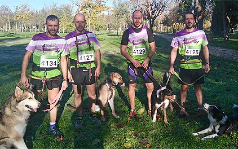 Patas por la ELA. Canicross de Aranjuez
