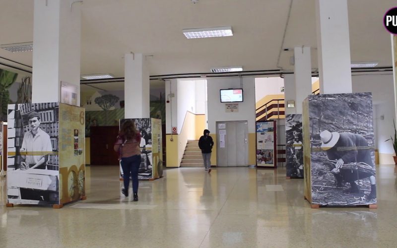CCOO e Intersindical Canaria ganan las elecciones al PAS Laboral