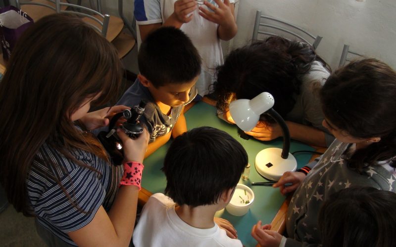 I Laboratorio de Verano de Ciencia y Tecnología de Arona