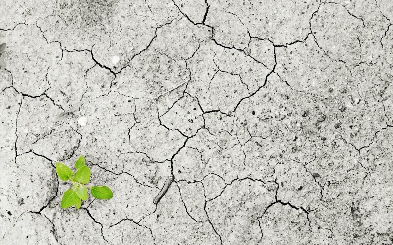 Cambio climático