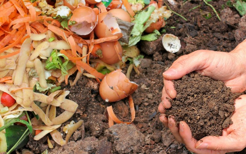 compost-g02f74e34b_1920