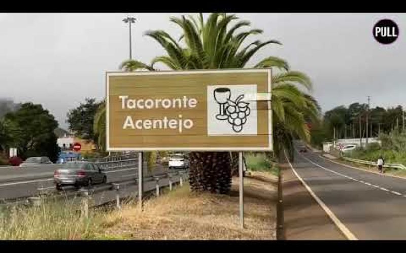Continúa la plaga de termitas en Tacoronte
