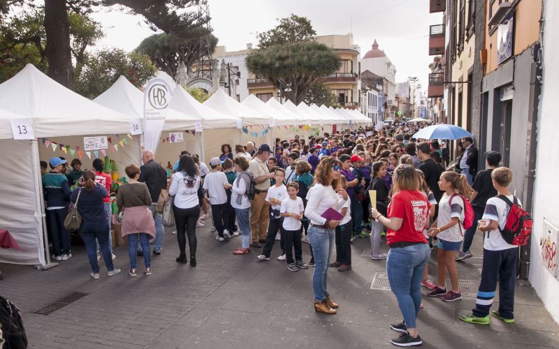 cooperativa-escolar