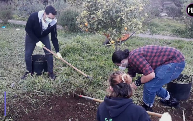 Cultivar para promover la solidaridad y el apoyo mutuo entre el alumnado