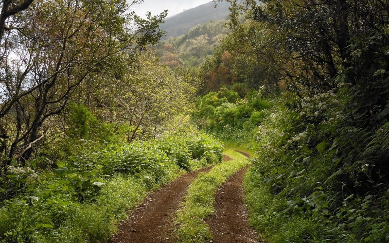 caminos comunitarios