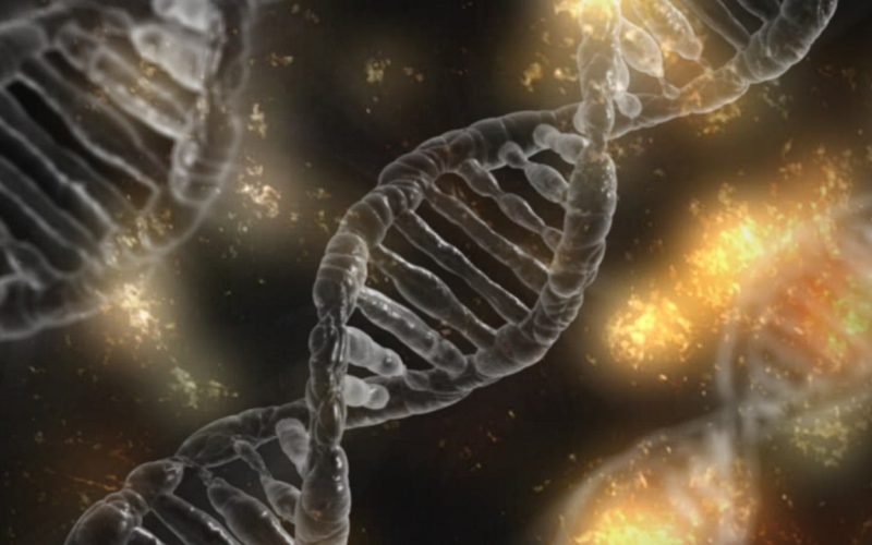 dna-1903318_1280