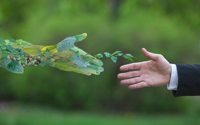 "Conservar los ecosistemas es la mejor forma de combatir el cambio climático"