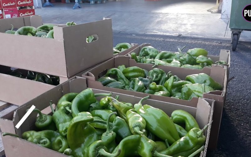 El Banco de Alimentos recibe 3’5 millones de kilos de comida en 2020