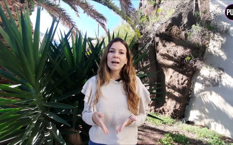 El Informe Juventud anticipa dificultades en el acceso laboral para la gente joven