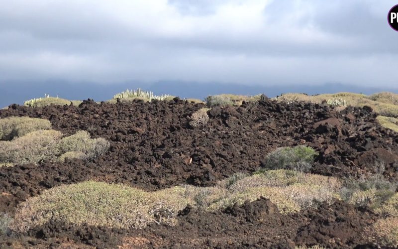El Malpaís de Güímar, una zona protegida de naturaleza pura y sinigual
