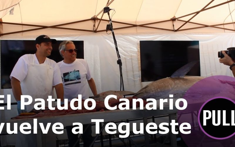 El Patudo Canario vuelve a Tegueste