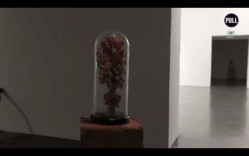El Tenerife Espacio de las Artes acoge la exposición ‘Jardín Satélite’