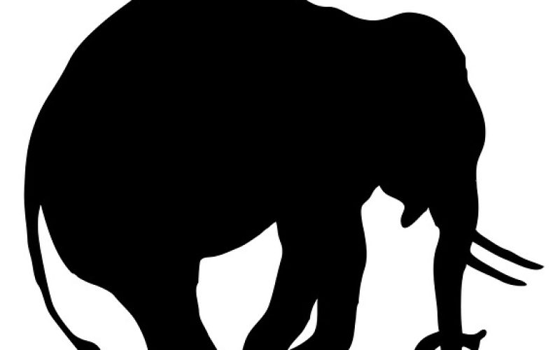 Elefante de circo