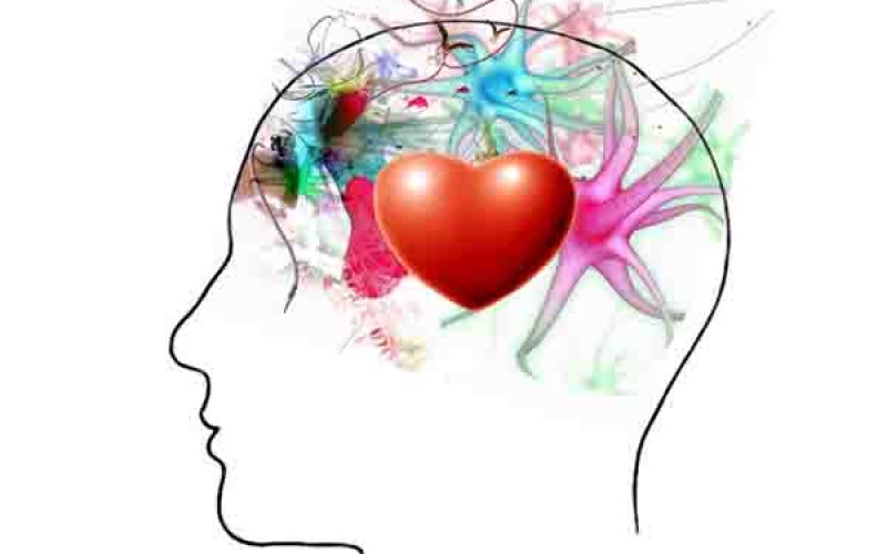 Manejo Inteligente de las Emociones